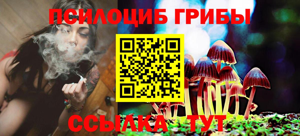 магазин    Псилоцибиновые грибы прущие грибы  Галлюциногенные грибы Magic Shrooms  Вход с VPN  Нефтекамск 